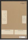 Diatomeae indet. Zeichnungen Sammlung Grunow Nr. 6835 (NHMW-BOT-W0375688)